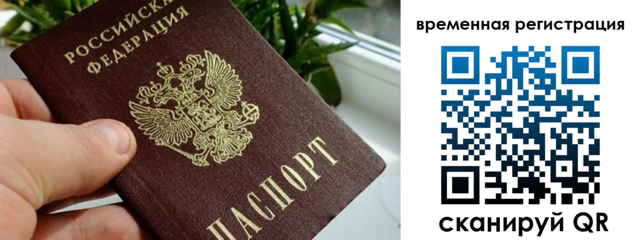 прописка поиск в Могочи